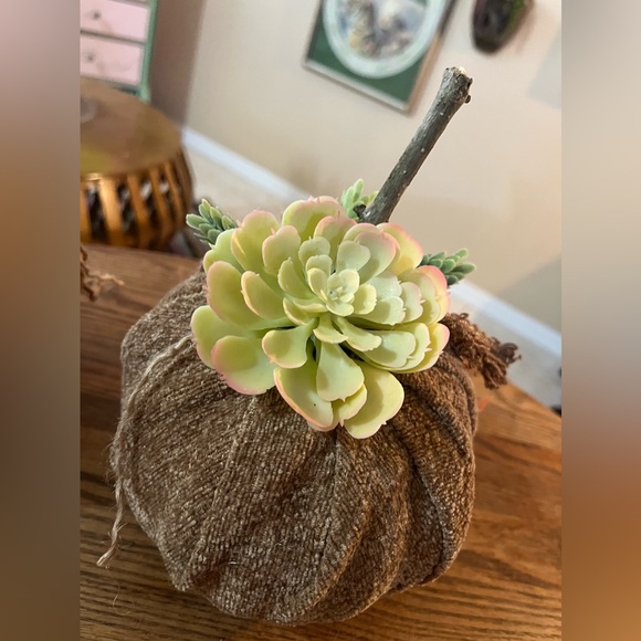 Set of 2 Handmade Succulent Chenille Fall Pumpkins - Fabric Fall Pumpkins - Boho - Picture 11 of 14